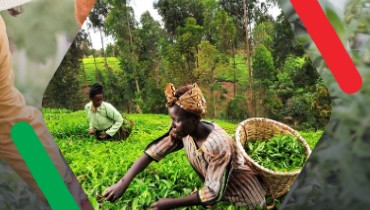 asafoods Impact Project-apprenticeship program