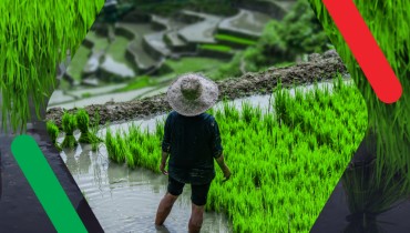 asafoods Impact Project-smallholder farm support